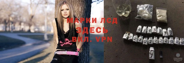 гидра Каменногорск