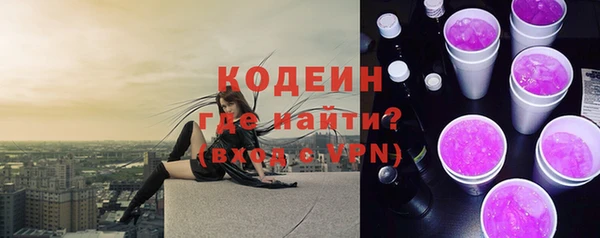 шишки Каменка
