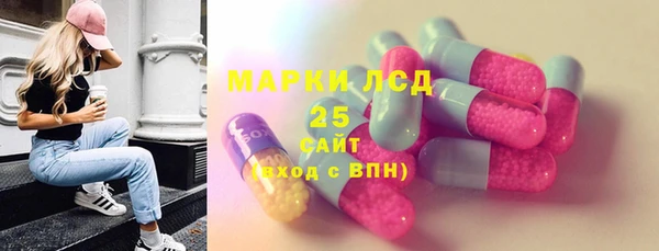 гидра Каменногорск
