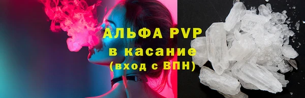 стафф Каменск-Шахтинский