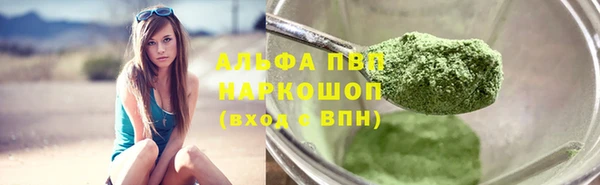 шишки Каменка