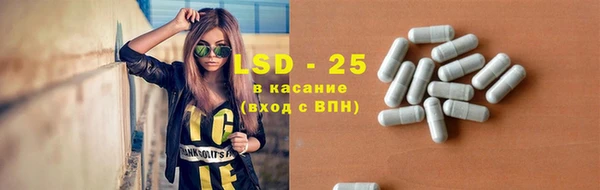 гидра Каменногорск