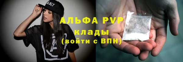 гидра Каменногорск