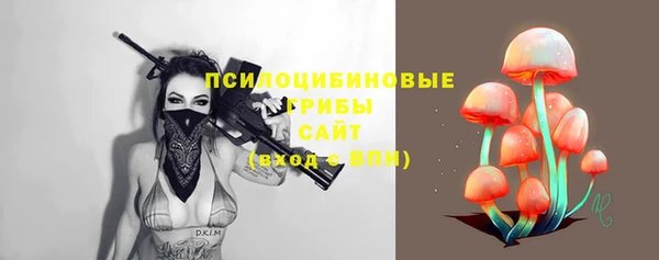 шишки Каменка
