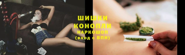 гидра Каменногорск