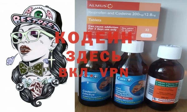 шишки Каменка