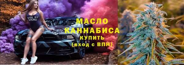 гидра Каменногорск