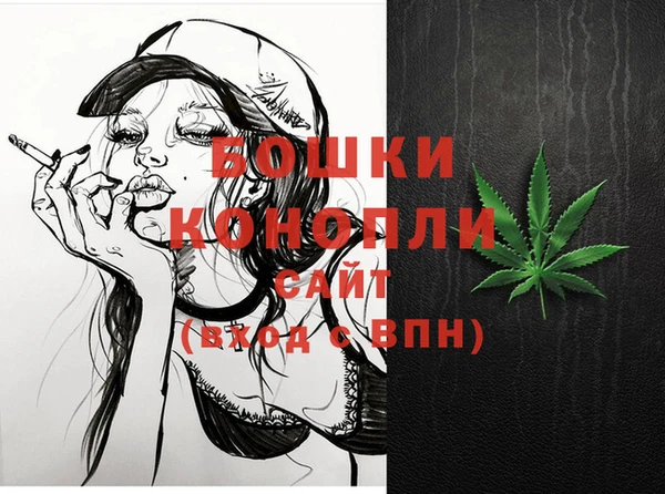 шишки Каменка
