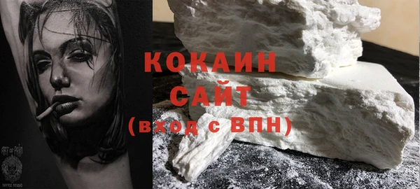 гидра Каменногорск