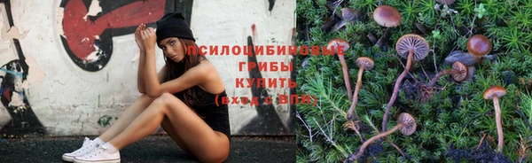 стафф Каменск-Шахтинский