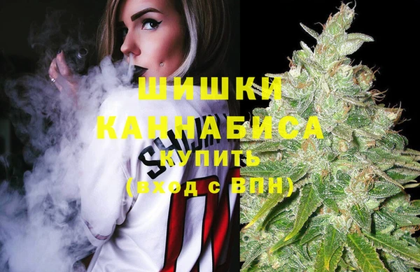 гидра Каменногорск