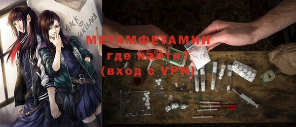гидра Каменногорск