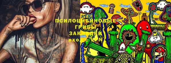 гидра Каменногорск