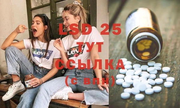 гидра Каменногорск
