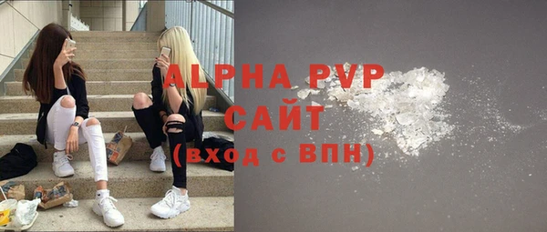 гидра Каменногорск