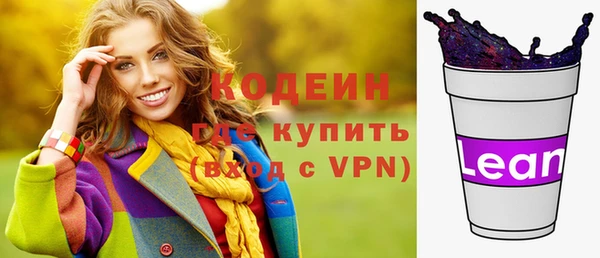 шишки Каменка