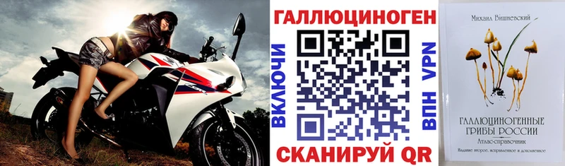 Купить  Рошаль  Галлюциногенные грибы Psilocybine cubensis 